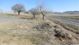 Ankara Nallıhan Eymir Köyü Milli Emlak'tan Satılık 3.285,19 m2 Tarla