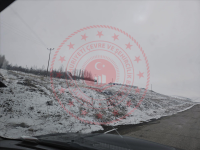 Erzurum Palandöken Börekli Mahallesi Milli Emlak'tan Satılık 1.815,49 m2 Tarla