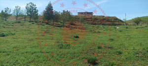 Kırıkkale Delice Halitli Köyü Milli Emlak'tan Satılık 1.486,35 m2 Tarla