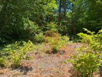 Zonguldak Kozlu Kılıç Mahallesi Milli Emlak'tan Satılık 363,77 m2 Tarla