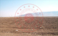 Konya Altınekin Koçyaka Köyü Milli Emlak'tan Satılık 6.311,32 m2 Tarla