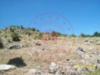 Konya Seydişehir Ketenli Kasabası Milli Emlak'tan Satılık 443,15 m2 Tarla