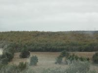 Amasya Merkez Akyazı Köyü Milli Emlak'tan Satılık 6.549,89 m2 Tarla