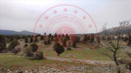 Konya Beyşehir Dumanlı Köyü Milli Emlak'tan Satılık 8.552,35 m2 Tarla
