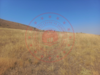 Kırıkkale Sulakyurt Faraşlı Köyü Milli Emlak'tan Satılık 2.957,66 m2 Tarla