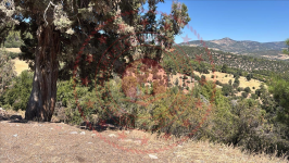 Burdur Merkez Yaylabeli (İnar) Köyü Milli Emlak'tan Satılık 4.196,58 m2 Tarla