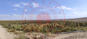 Konya Meram Kavak Köyü Milli Emlak'tan Satılık 9.625,00 m2 Arsa