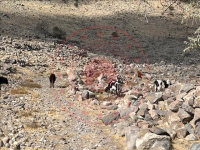 Konya Karapınar Akören Köyü Milli Emlak'tan Satılık 756,00 m2 Tarla