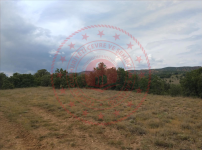 Kırıkkale Delice Meşeyayla Köyü Milli Emlak'tan Satılık 350,00 m2 Tarla