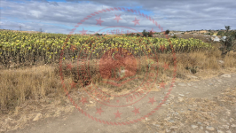 Çorum Merkez Palabıyık Köyü Milli Emlak'tan Satılık 1.802,13 m2 Tarla