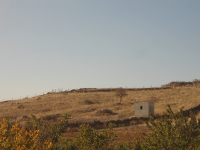 Kayseri Develi Kulpak Mahallesi Milli Emlak'tan Satılık 7.187,36 m2 Tarla