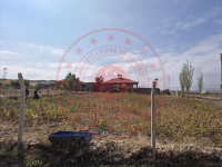 Kayseri Develi Menengi Mahallesi Milli Emlak'tan Satılık 1.609,57 m2 Arsa