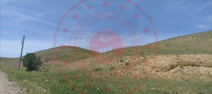 Kırıkkale Delice Şahçalı Köyü Milli Emlak'tan Satılık 340,58 m2 Tarla