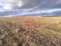 Kırşehir Merkez Tosunburnu Köyü Milli Emlak'tan Satılık 12.724,21 m2 Tarla