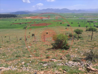 Konya Beyşehir Gökçimen Kasabası Milli Emlak'tan Satılık 3.467,87 m2 Arsa