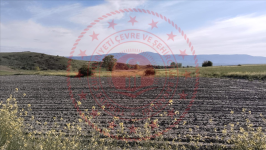 Çorum Merkez Yoğunpelit Köyü Milli Emlak'tan Satılık 3.117,21 m2 Tarla