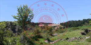 Çankırı Yapraklı Yukarıöz Köyü Milli Emlak'tan Satılık 128,97 m2 Arsa