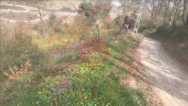 Sakarya Geyve Dereköy Köyü Milli Emlak'tan Satılık 828,51 m2 Tarla