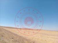 Konya Altınekin Koçyaka Köyü Milli Emlak'tan Satılık 120.021,93 m2 Tarla