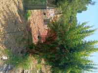 Antalya Alanya Türktaş Köyü Milli Emlak'tan Satılık 297,78 m2 Tarla