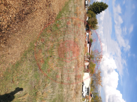 Afyonkarahisar Dinar Yüksel Köyü Milli Emlak'tan Satılık 778,23 m2 Arsa