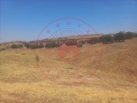 Kırıkkale Sulakyurt Sarıkızlı Köyü Milli Emlak'tan Satılık 1.632,58 m2 Tarla