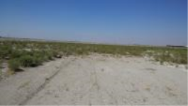 Konya Karatay Çengilti Köyü Milli Emlak'tan Satılık 1.418,48 m2 Tarla