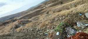 Çankırı Yapraklı Kaymaz Köyü Milli Emlak'tan Satılık 1.022,44 m2 Tarla