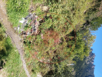 Gümüşhane Torul Kirazlık Köyü Milli Emlak'tan Satılık 122,58 m2 Tarla