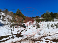 Karabük Eskipazar Adiller Köyü Milli Emlak'tan Satılık 7.140,77 m2 Tarla