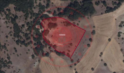 Çorum Merkez Büyükgülücek Köyü Milli Emlak'tan Satılık 9.390,48 m2 Tarla