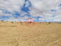 Konya Hüyük Görünmez Köyü Milli Emlak'tan Satılık 41.350,13 m2 Tarla