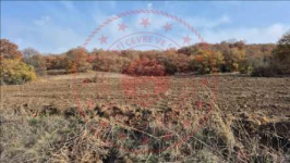 Çorum Merkez Büyükgülücek Köyü Milli Emlak'tan Satılık 1.808,62 m2 Tarla