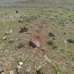 Ağrı Doğubayazıt Sağlıksuyu Köyü Milli Emlak'tan Satılık 7.437,23 m2 Tarla