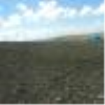 Kayseri Kocasinan Yuvalı Mahallesi Milli Emlak'tan Satılık 617,60 m2 Tarla