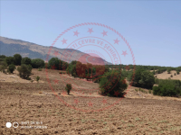 Konya Meram Kilistra Köyü Milli Emlak'tan Satılık 17.583,57 m2 Arsa