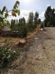 Bitlis Merkez Hüsrevpaşa Mahallesi Milli Emlak'tan Satılık 314,44 m2 Arsa