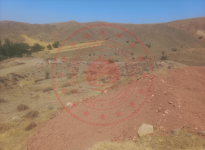Kırıkkale Sulakyurt Koruköy Köyü Milli Emlak'tan Satılık 1.007,35 m2 Tarla