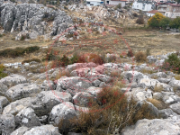 Konya Beyşehir Üzümlü Kasabası Milli Emlak'tan Satılık 479,69 m2 Arsa