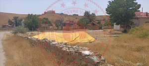 Kırıkkale Delice Halitli Köyü Milli Emlak'tan Satılık 728,83 m2 Tarla