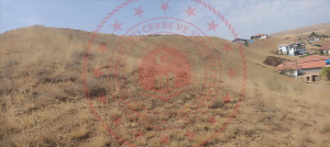 Kırıkkale Delice Halitli Köyü Milli Emlak'tan Satılık 1.690,81 m2 Tarla