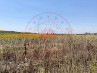 Edirne Uzunköprü Turnacı Köyü Milli Emlak'tan Satılık 675,95 m2 Tarla