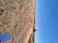 Kırklareli Merkez Karakoç Köyü Milli Emlak'tan Satılık 2.695,98 m2 Tarla