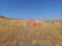 Kırıkkale Sulakyurt Faraşlı Köyü Milli Emlak'tan Satılık 3.050,42 m2 Tarla