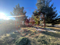 Denizli Acıpayam Akşar Köyü Milli Emlak'tan Satılık 8.984,62 m2 Tarla