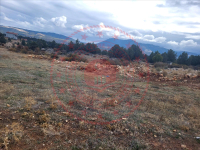 Konya Beyşehir Adaköy Kasabası Milli Emlak'tan Satılık 1.033,70 m2 Arsa