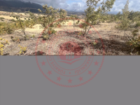 Çorum Ortaköy Yukarı Kuyucak Köyü Milli Emlak'tan Satılık 3.401,19 m2 Tarla