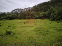 Bingöl Merkez Göltepesi Köyü Milli Emlak'tan Satılık 2.481,31 m2 Tarla