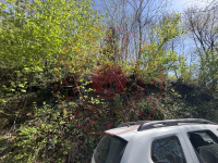 Trabzon Araklı Kaymaklı Mahallesi Milli Emlak'tan Satılık 1.660,22 m2 Tarla