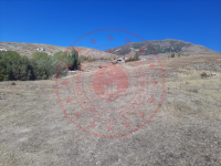 Sivas Merkez Yıldız - S. Ömer Yıldırım Mahallesi Milli Emlak'tan Satılık 600,00 m2 Arsa